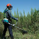 Brush Cutter Hire